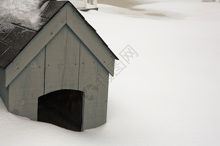 下雪时的狗沟图片