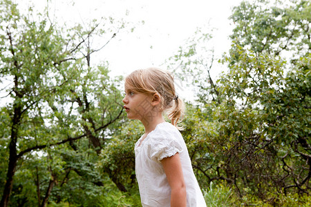 树丛中女孩树丛中的小女孩背景