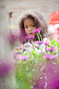 紫花丛里的女孩背景图片