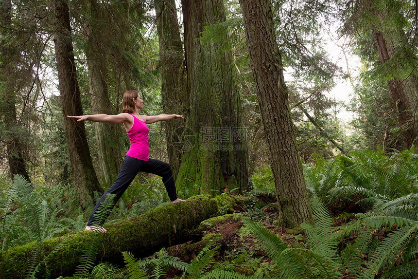 女人在森林里练习瑜伽图片