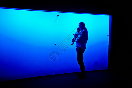 父子在水族馆看海洋动物图片