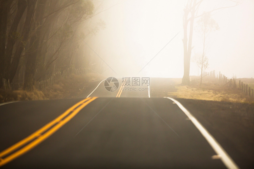 美国夏威夷岛公路图片