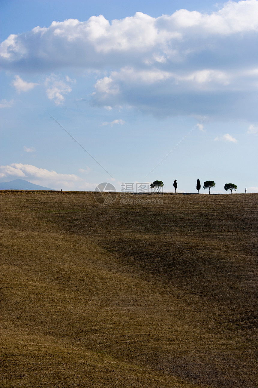 意大利托斯卡纳地平线上有铁丝树的裸田图片