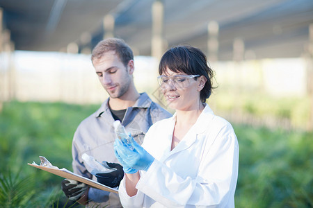 科学家和植物苗圃工人 图片