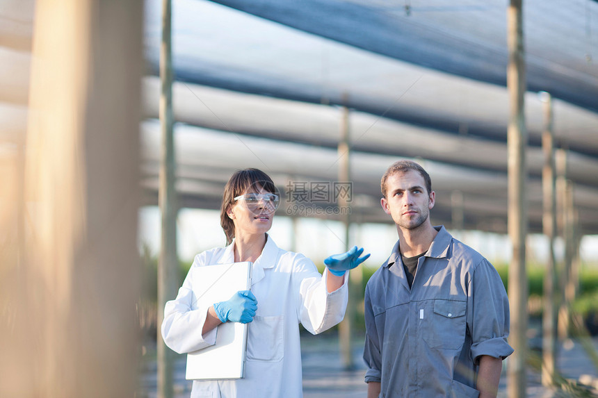 科学家和植物苗圃工人图片