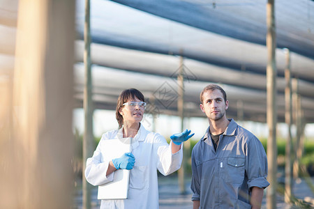 科学家和植物苗圃工人图片