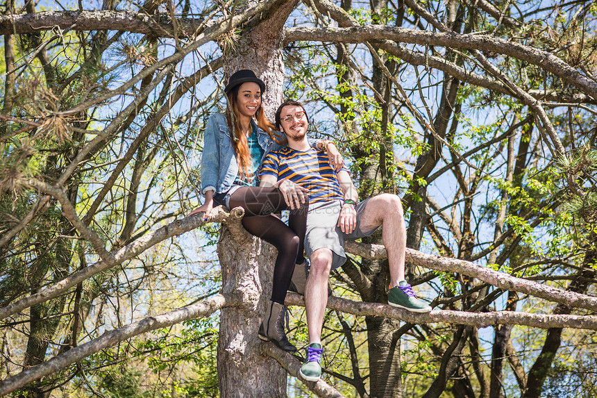 夫妇坐在树上图片