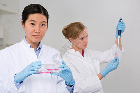 在实验室工作的女科学家检查细胞生长情况图片