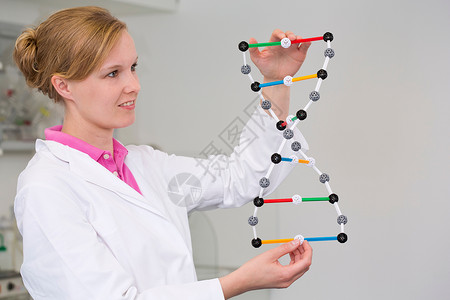 实验室中拿着DNA分子模型的女科学家背景图片