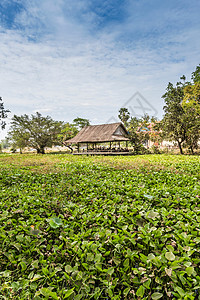 柬埔寨暹粒附近东德村东德寺村公所高清图片