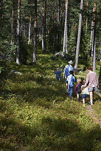 家庭煮夫家庭在森林中行走背景