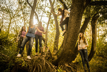 5名青年女子探寻森林图片