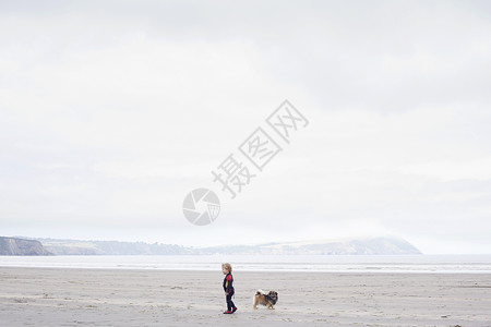 海滩上带着狗的男孩图片