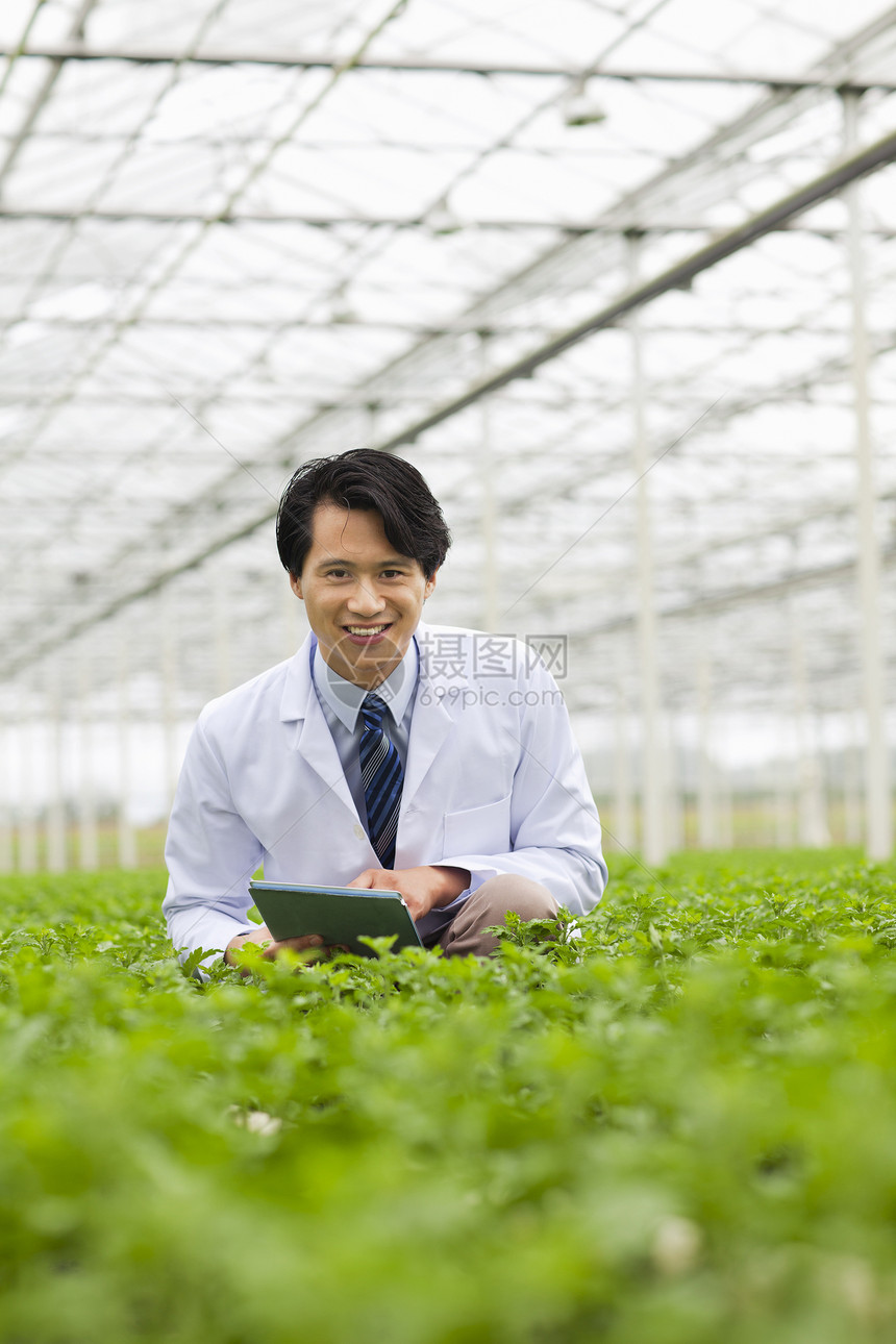 拿着平板的科学家蹲在菜地里做记录图片