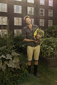 菜园里收获蔬菜的成年男性图片