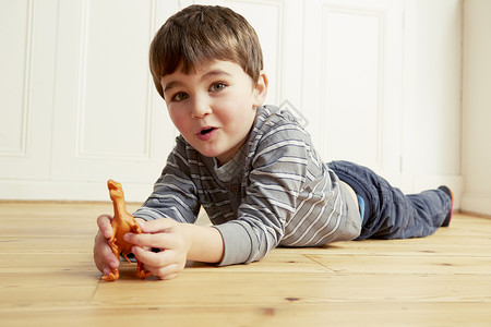 男孩躺在地上玩前面的玩具恐龙图片
