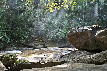 阳光下的小溪和岩石图片