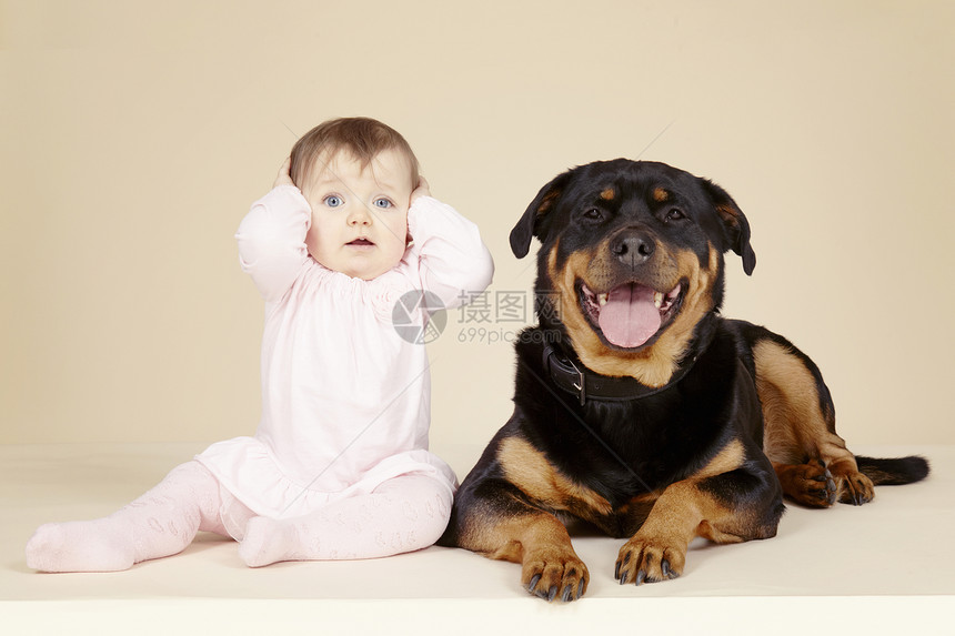 狗狗和女婴肖像图片