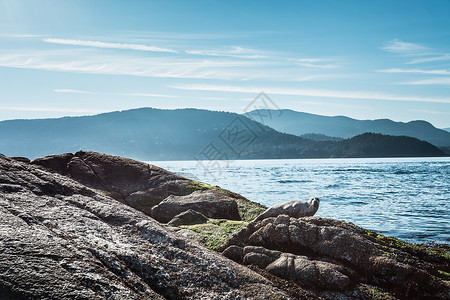 加拿大不列颠哥伦比亚省怀特克利夫公园岩石高清图片