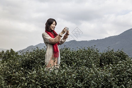 茶园拍照的年轻女子图片