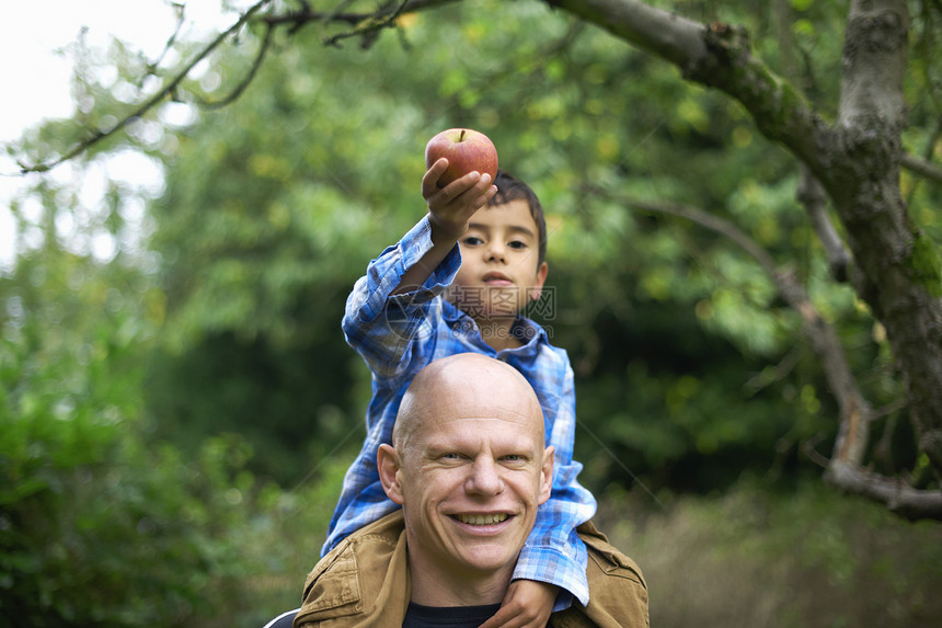 男孩儿抱着苹果坐在父亲肩上图片