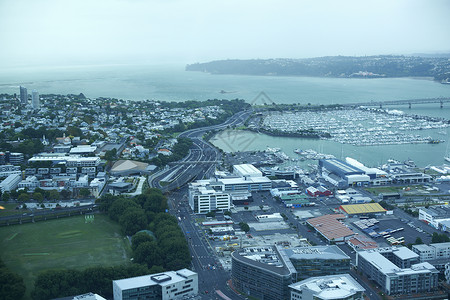 新西兰奥克兰俯视图图片
