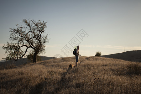 宠物背包美国加利福尼亚州SantaMonica山上行走的成熟人和他贝猎犬背景