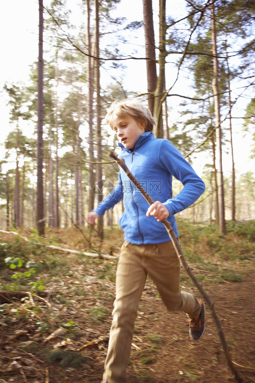 男孩在树林里拿着棍子跑图片