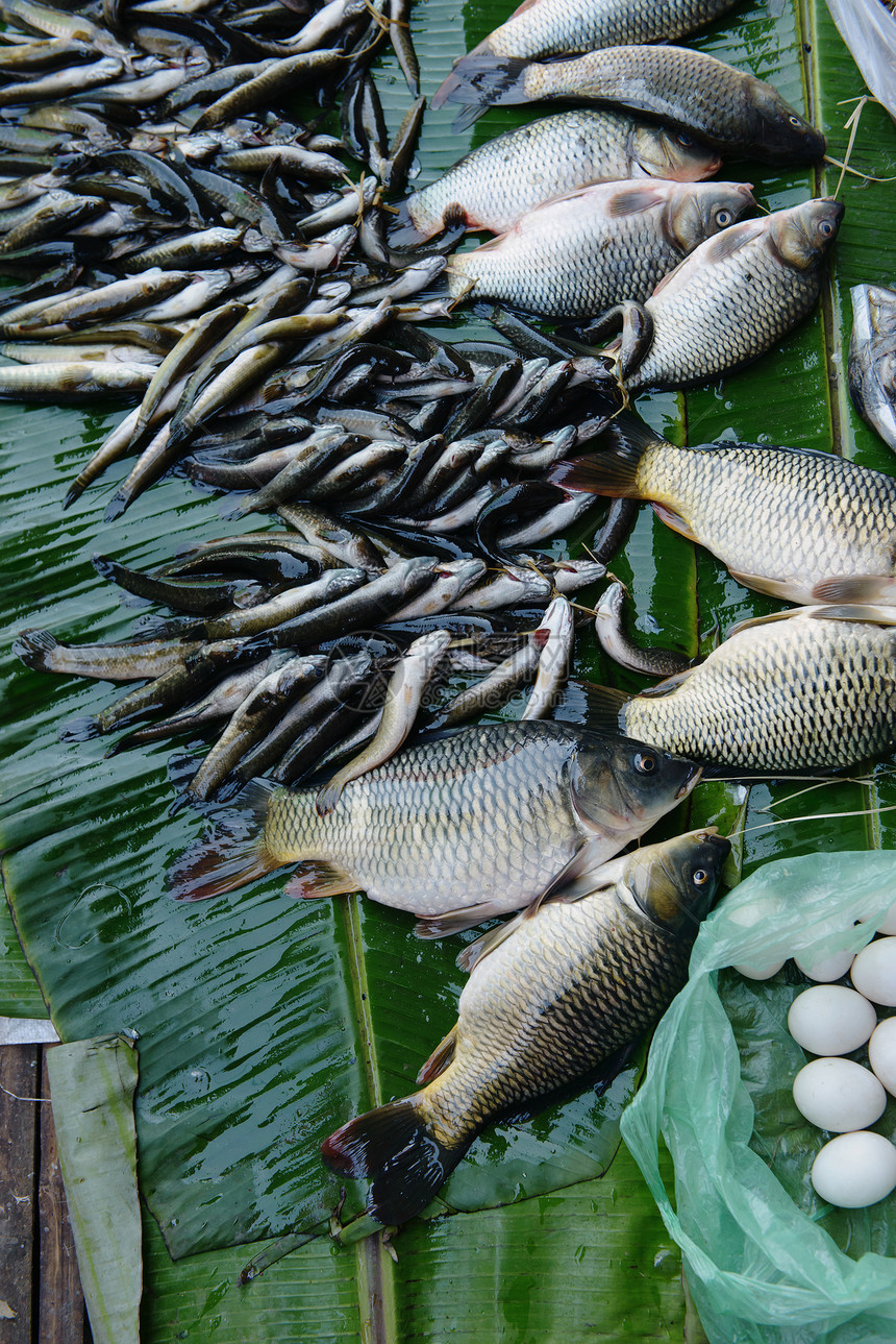 缅甸因勒湖NyaungShwe捕获的鱼和蛋的静物画图片