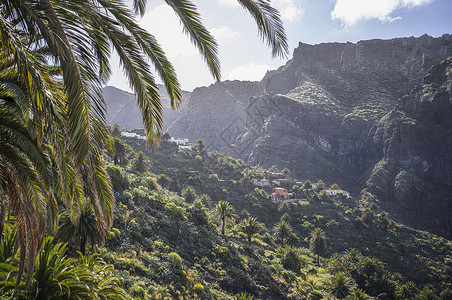 西班牙加那利群岛特内里费马萨卡村图片