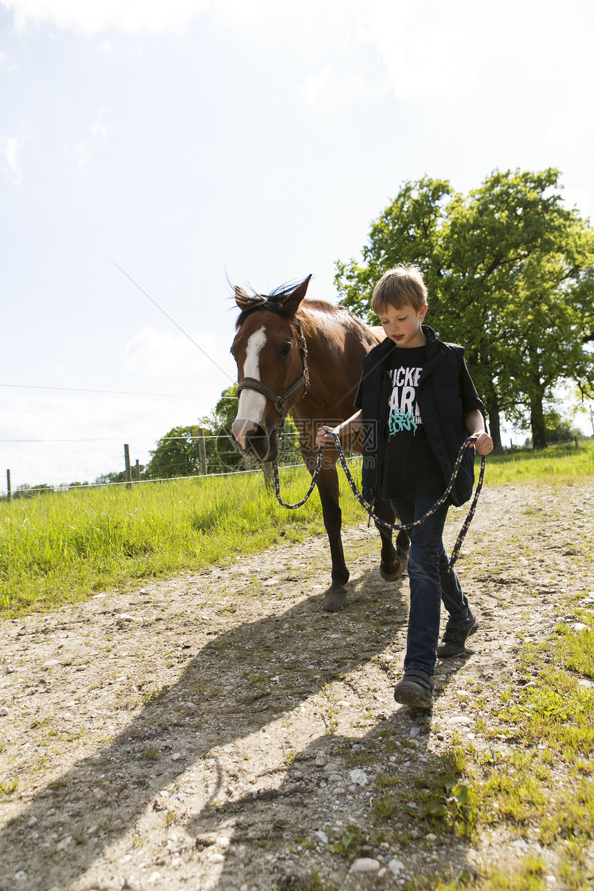 男孩在泥土轨道上带领马匹图片