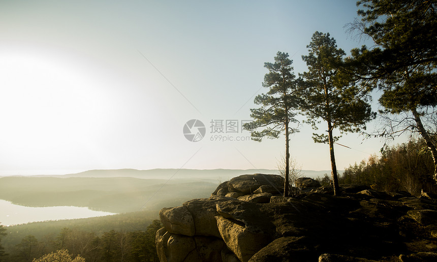 日出时森林的景象图片