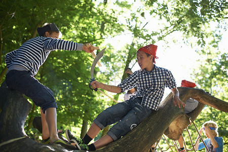 男孩们在树上玩耍高清图片