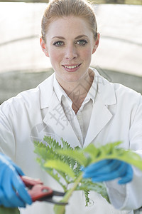 切割植物的女科学家背景图片