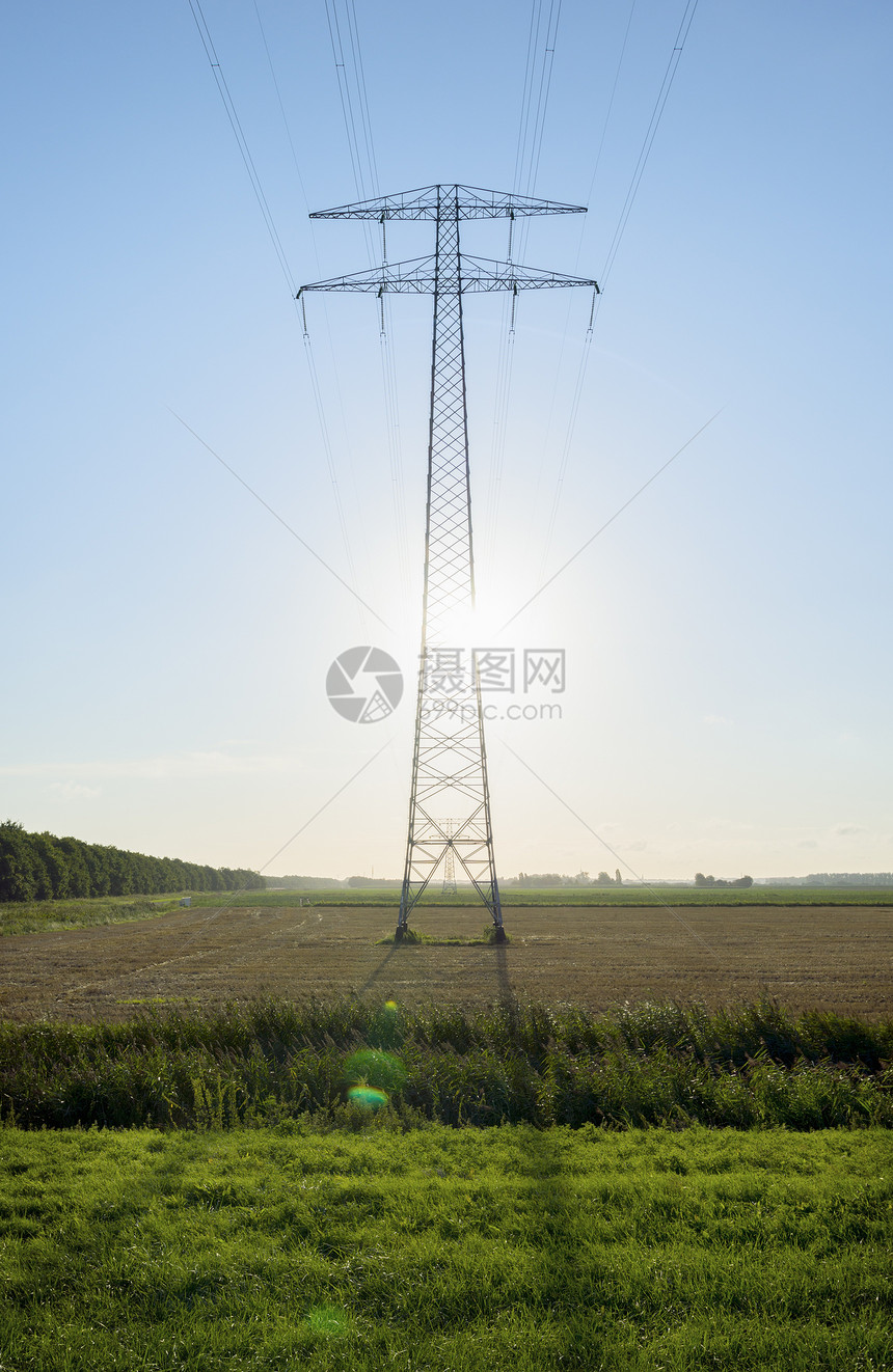 在田地风景中的电线杆图片