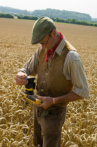 在小麦田里做测试的农民图片