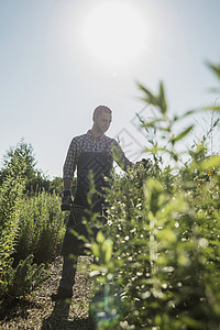 园丁照顾植物图片