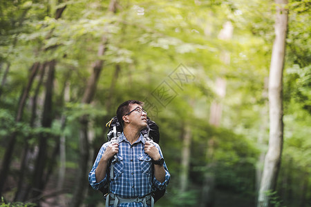 森林中背包的爬山者图片
