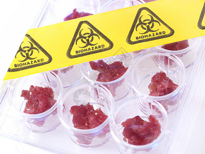 在食品标准实验室测试的肉类样本图片