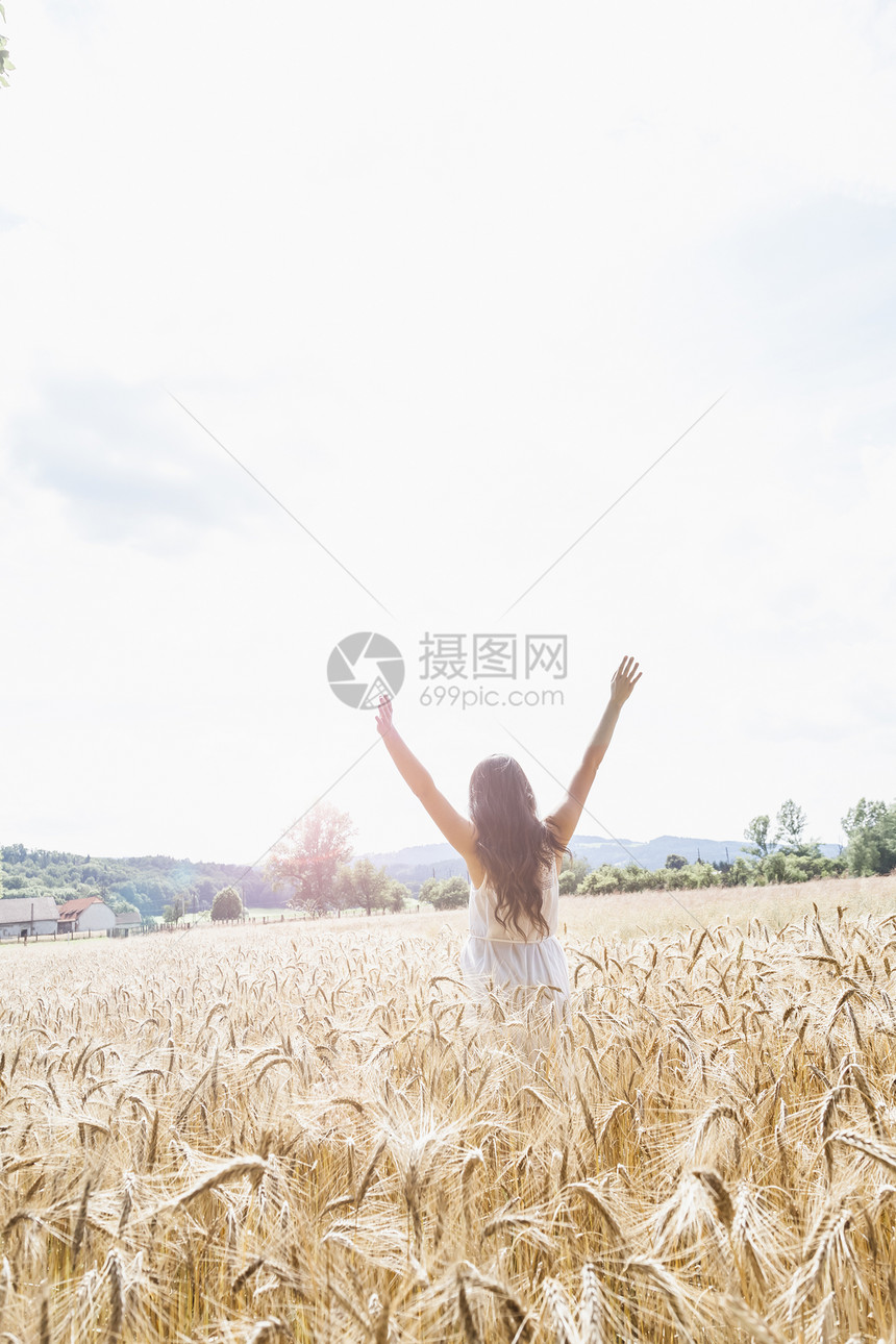 小麦田中的年轻女性背影图片