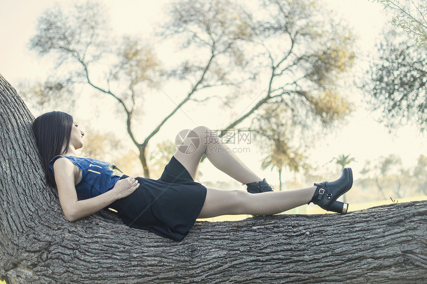 躺树上的年轻女子图片