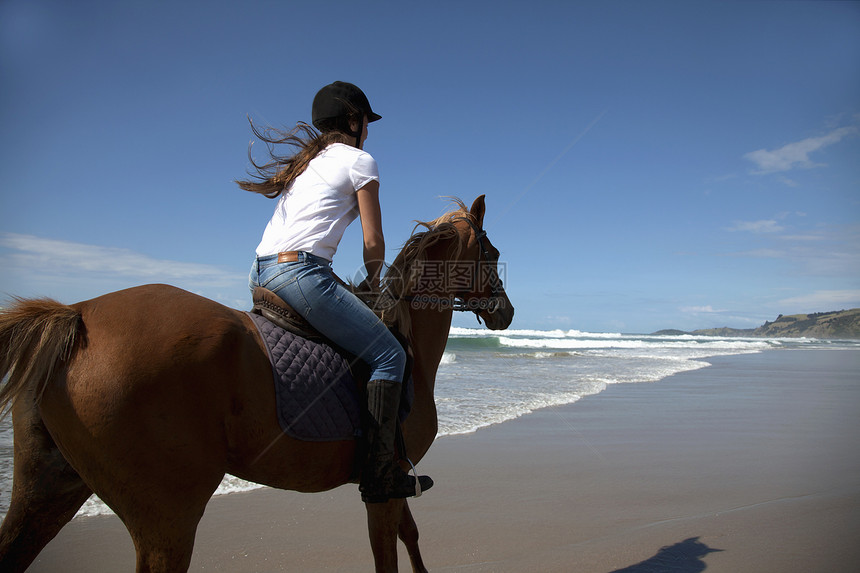 帕基里海滩马骑新西兰奥克图片
