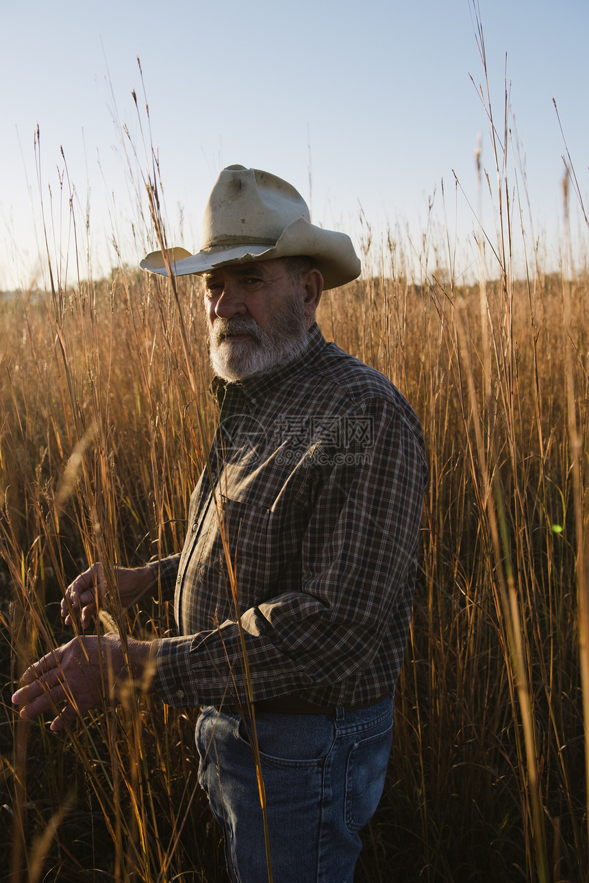 美国密苏里普拉茨堡长草区的农民图片