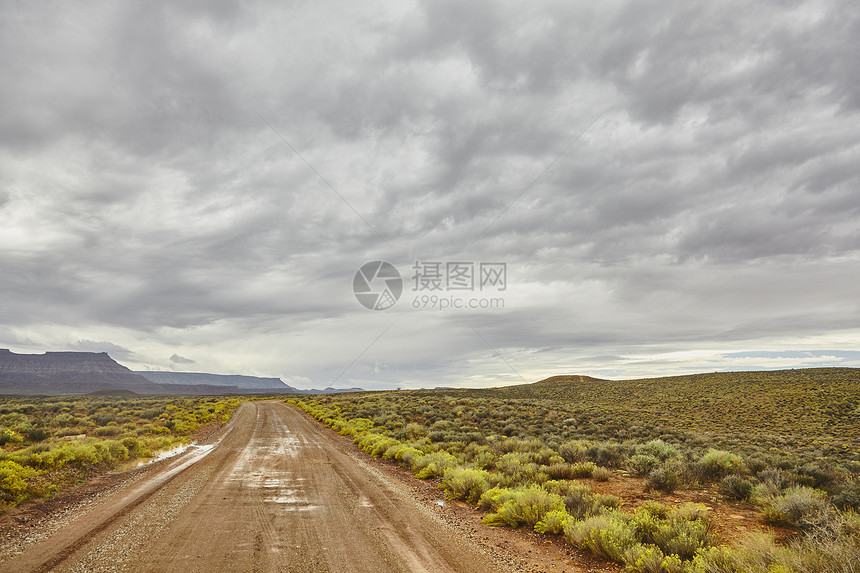 美国犹他州维尔京的乡下公路图片