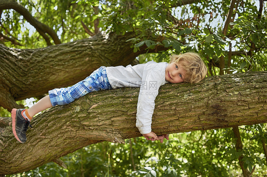 男孩躺在森林树枝上图片