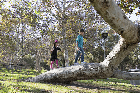 哥和妹在公园里玩弯曲的树图片