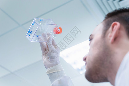 癌症研究实验室科学家将塑料瓶和细胞溶解液密封图片
