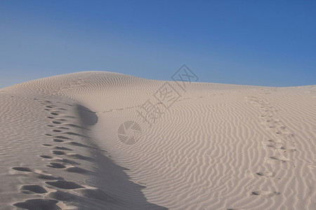 沙丘上的印记图片