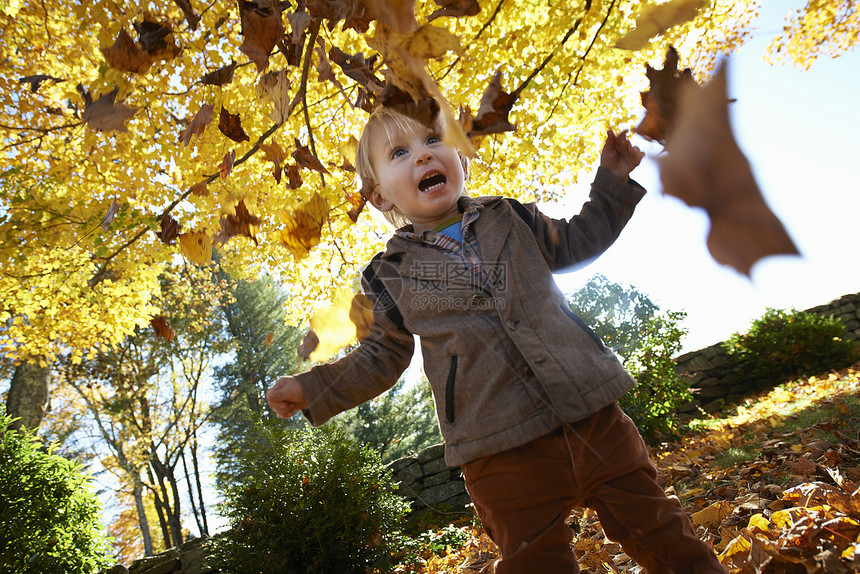 男孩在森林里玩叶子图片
