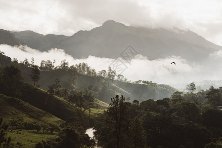 马拉帕斯加黎明时的在雾里的兰金上韦拉帕斯危地马中美洲背景